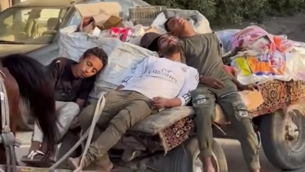 فيديو مثير للجدل يظهر عمالاً نائمين على عربة كارو تحت عنوان ‘الحصان يعرف الطريق’