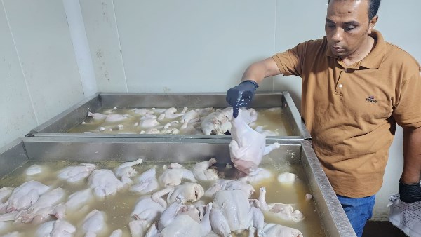 ضبط خمس أطنان من مصنعات اللحوم والدجاج في الدقهلية غير صالحة للاستهلاك