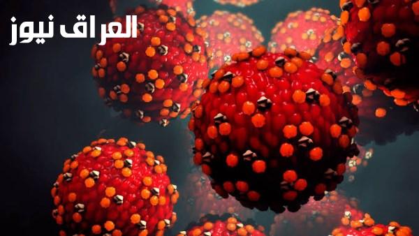 الحصبة تحت السيطرة كيف تحقق مصر إنجازات منظمة الصحة العالمية