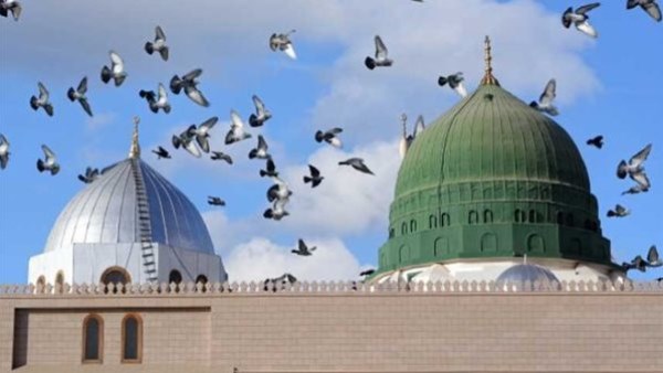 الأزهر للفتوى: الاحتفال بالمولد النبوي تجسيد لتقدير النبي وتعزيز محبته.
