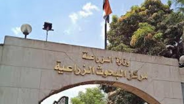 الزراعة تطور سلالات جديدة من الأرانب لتحمل ارتفاع درجات الحرارة
