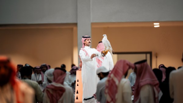 السعودية تختتم المزاد الدولي للصقور 2026 بمبيعات تتجاوز ثمانية ملايين وثمانمائة ألف دولار أمريكي