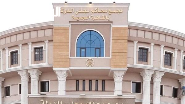 فأرة سلكية تسبب الذعر في مجلس الدولة بالرحاب