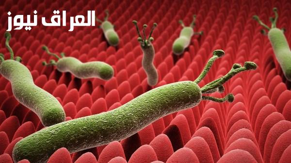 تشخيص جرثومة المعدة والأعراض وطرق انتقال العدوى ومدة العلاج بأربع طرق مختلفة