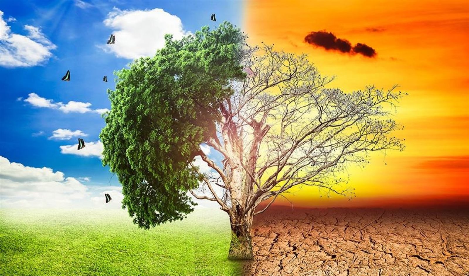 الخسائر المالية العالمية نتيجة التغيرات المناخية تصل إلى 822 مليار دولار