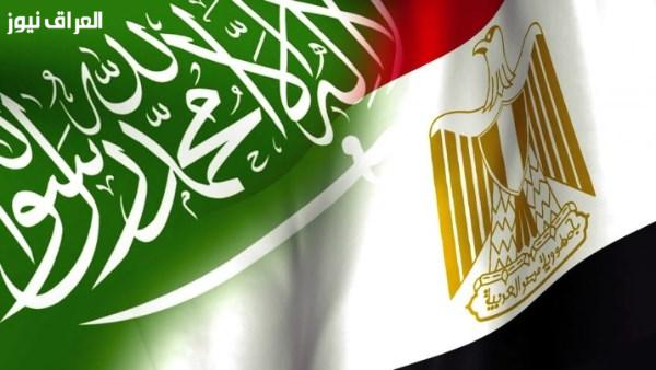 قيادي في حماة الوطن: الروابط المصرية السعودية تمزج بين التاريخ والمستقبل