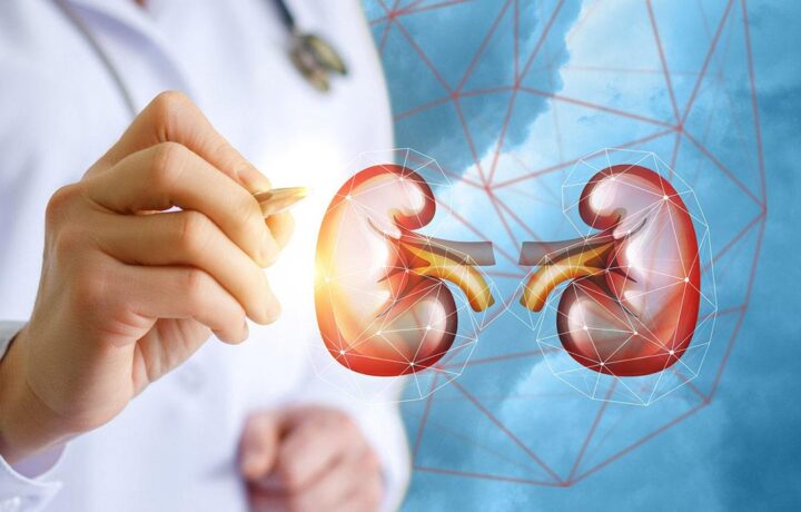 الصحة: إمكانية زراعة الكلى حتى مع عدم تطابق المتبرع