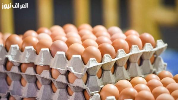 قفزة غير متوقعة في أسعار كرتونة البيض: ما الأسباب وراء هذا الارتفاع؟