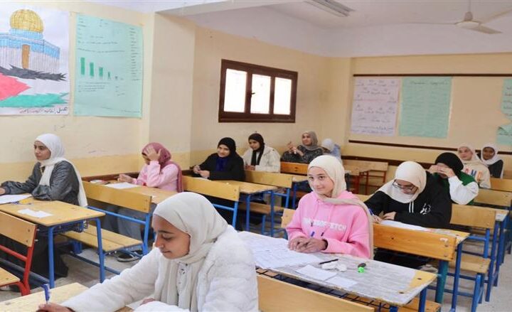 المواعيد المحددة للتقييمات الأسبوعية لطلاب الصفوف الانتقالية: تفاصيل الدرجات لجميع المراحل