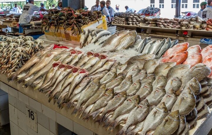 أسعار البلطي اليوم تكشف مفاجأة جديدة و28 جنيها تراجع في سعر الجمبري