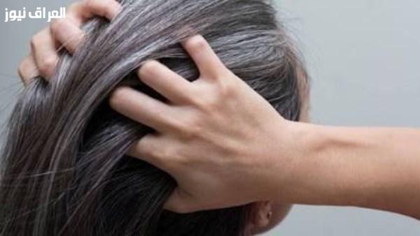 تخلص من الشيب بشكل طبيعي: أساليب فعّالة لإخفاء الشعر الأبيض دون مواد كيميائية