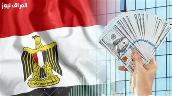 نائب برلماني: ارتفاع تأسيس الشركات الأجنبية يعكس ثقة المستثمرين في الاقتصاد المصري
