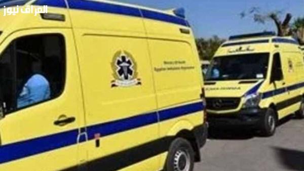 تصادم بين ميكروباص ونقل على طريق سمالوط الصحراوي يُصيب 10 أشخاص