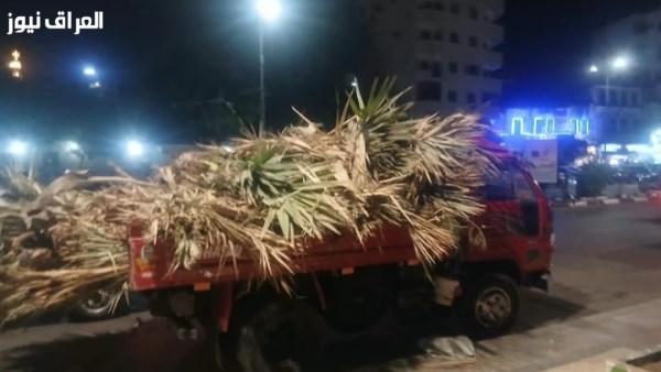 محافظ أسوان يأمر باتخاذ إجراءات قانونية ضد صاحب مرسى لاقتصاصه نخيل الدوم على كورنيش النيل القديم