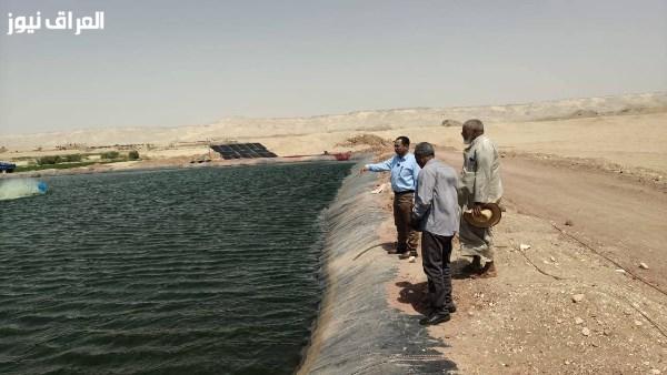 رئيس مركز بلاط في الوادي الجديد يقوم بجولة تفقدية لمشروع استزراع سمكي على طريق تنيدة – منفلوط