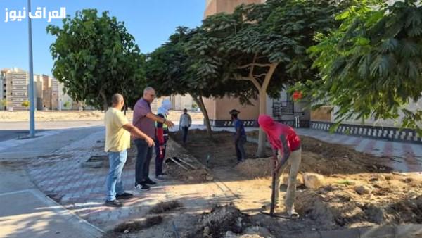 تحسين جذري للزراعات ونظم الري في منطقة الإسكان المتميز بالعلمين الجديدة