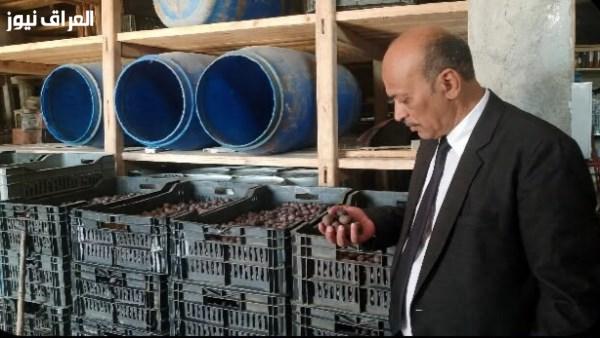القبض على 22 طن من الزيتون المخلل غير الصالح للاستهلاك البشري في طنطا