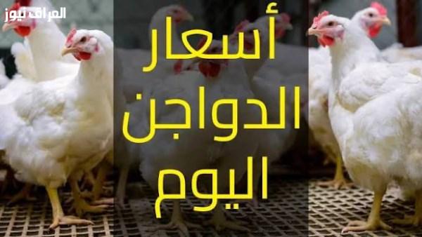 زيادة أسعار البيض والدواجن في الأسواق اليوم