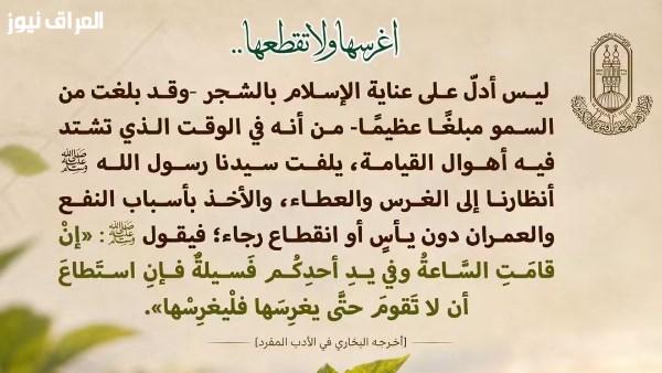 «الإبقاء على الأشجار بدلاً من قطعها».. الأزهر العالمي للفتوى يتناول ظاهرة إزالة الأشجار من منظور إسلامي