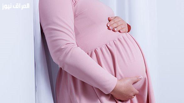دراسة جديدة تكشف الحقائق الخفية حول تأثير البيض والفول على الحوامل