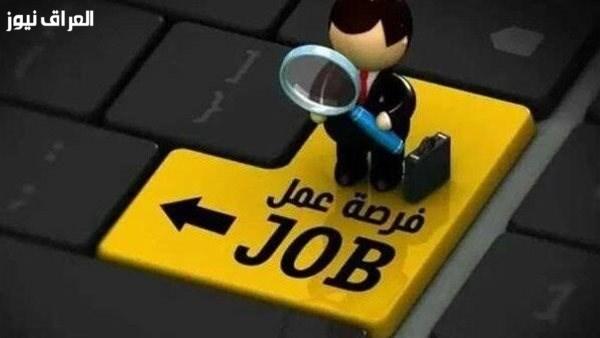 وزارة العمل تطرح 958 فرصة عمل في 12 محافظة.. كيفية التقديم والتفاصيل الكاملة