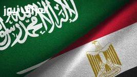أستاذ العلوم السياسية: مصر والسعودية هما عمودا الأمة، والتحالف العربي ضرورة لمواجهة التحديات الإقليمية