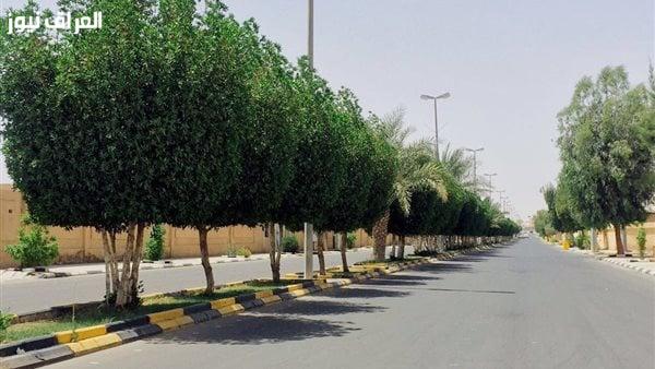 خطة وزارية طموحة: زراعة 100 مليون شجرة وإطلاق المرحلة الثالثة بسبعة ملايين شجرة