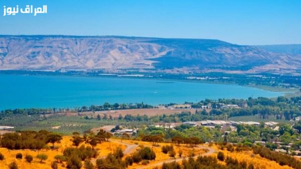 الطحالب البحرية تتسبب في شلل 5 محطات لتحلية المياه في إسرائيل بشكل مفاجئ