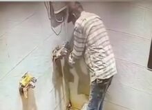 كاميرات المراقبة توثق سرقة خلاط مياه من مسجد في مصر الجديدة