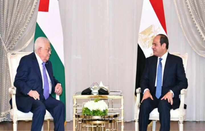 السيسي يؤكد أن القضية الفلسطينية تظل جوهرية لمصر