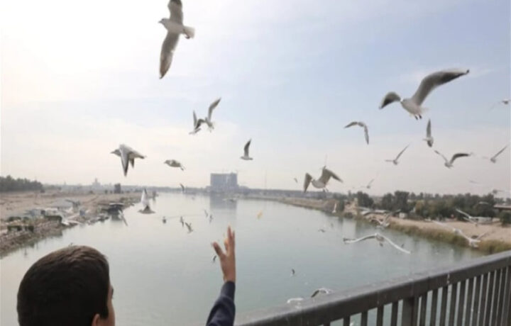 انخفاض درجات الحرارة في العراق يبدأ من يوم الاثنين