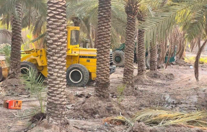 تفكيك شبكة تزوير السندات والاعتداء على الأراضي الزراعية في بغداد